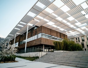 Membrane - Torch on felt